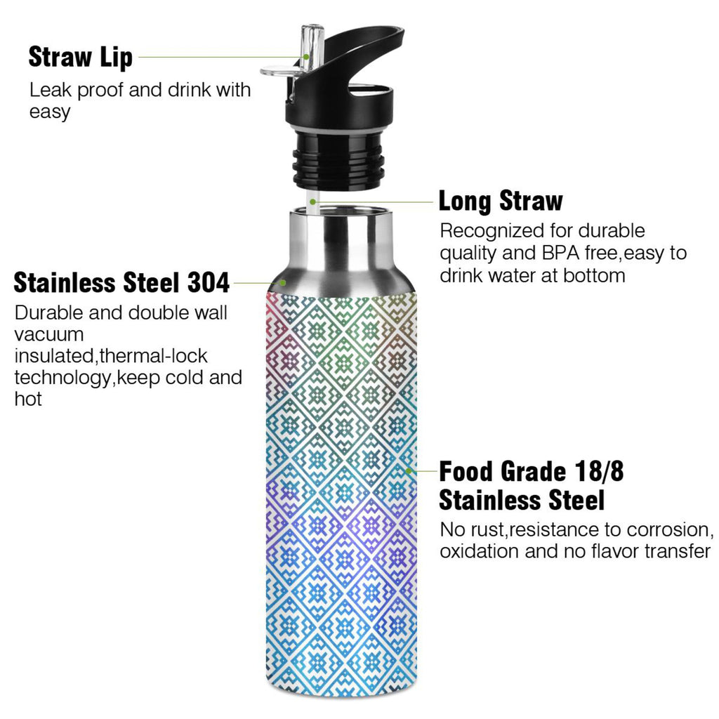 20 oz Insulated Stainless Steel Water Bottle with Straw Lid H810