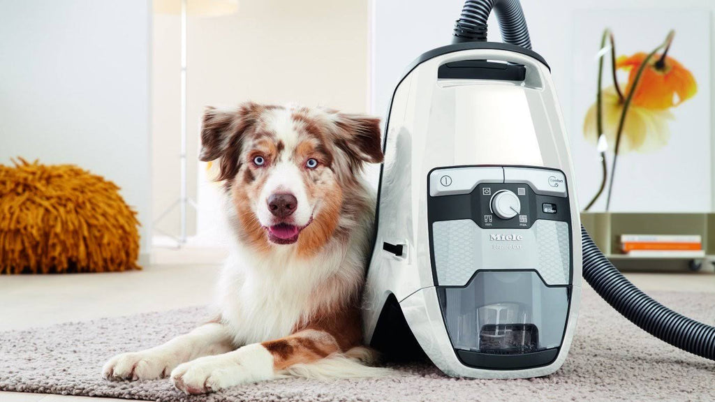 Bagless Canister Vacuum X71156