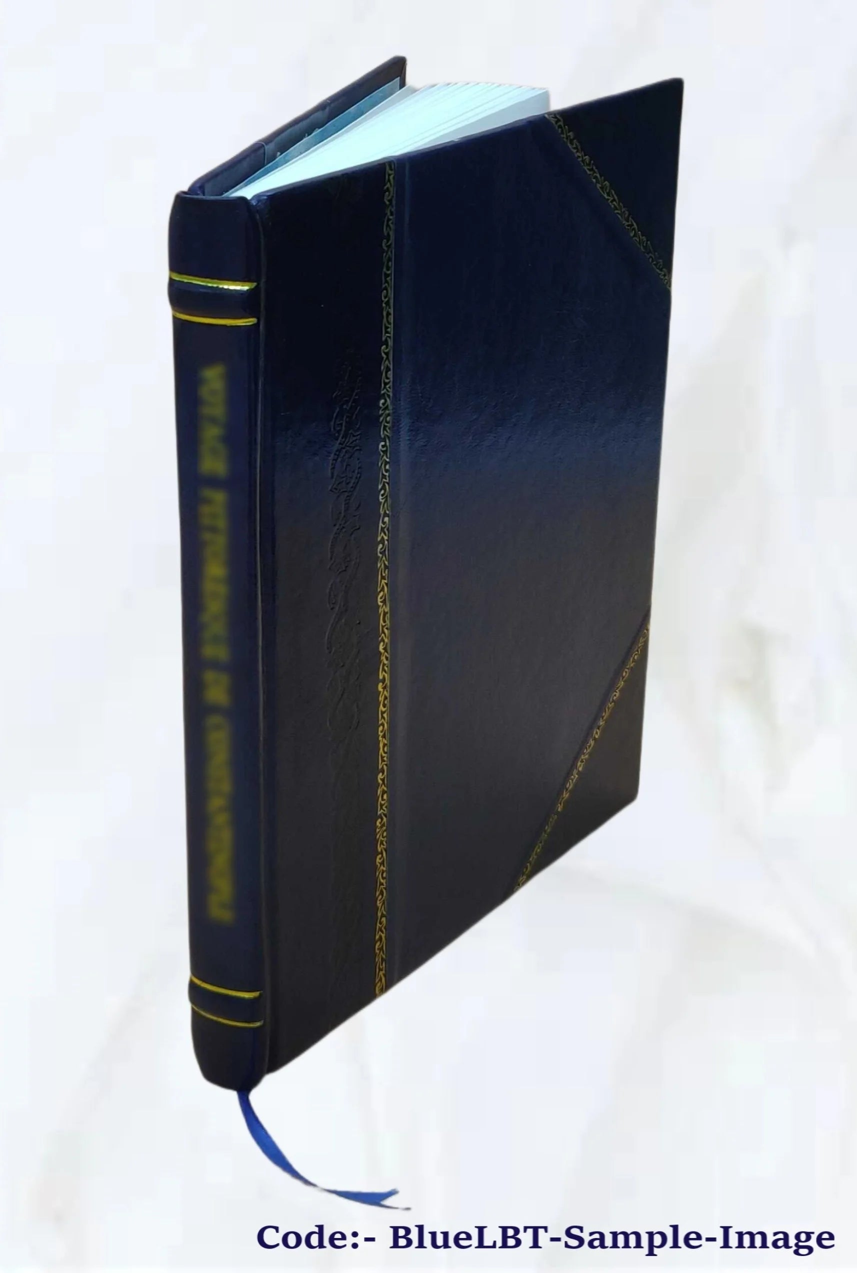 Leather Bound Book N18560