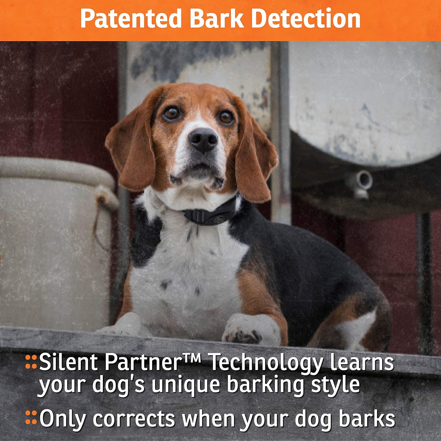 Rechargeable Waterproof Bark Control Collar U9979