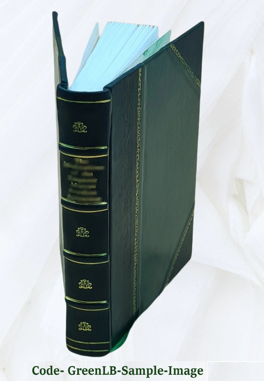 Leather Bound Mountaineering and exploration in the Japanese Alps 1896 V309892