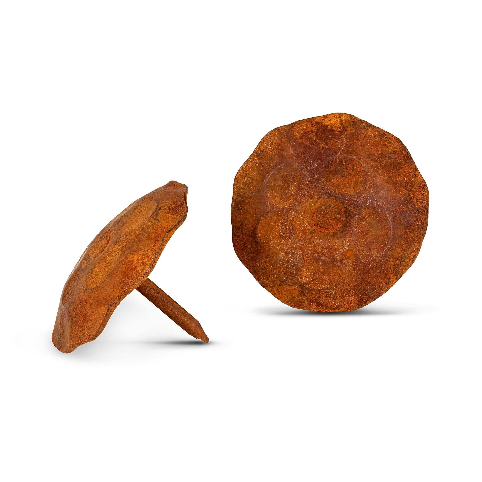 1.5x22 Round Iron Decorative Nail Clavos Rusted W768