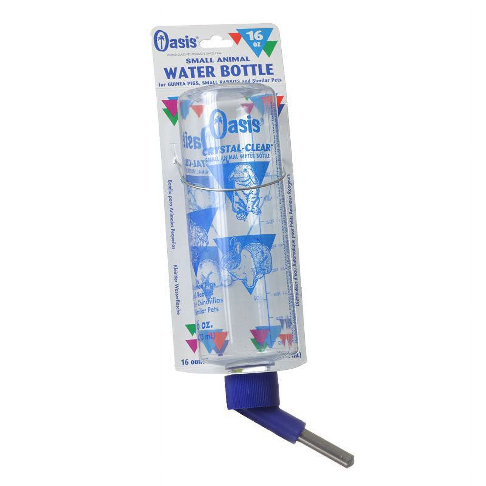 Crystal Clear Water Bottle 16 oz N4761