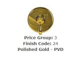 Polished Gold Garbage Disposer Flange Y2153
