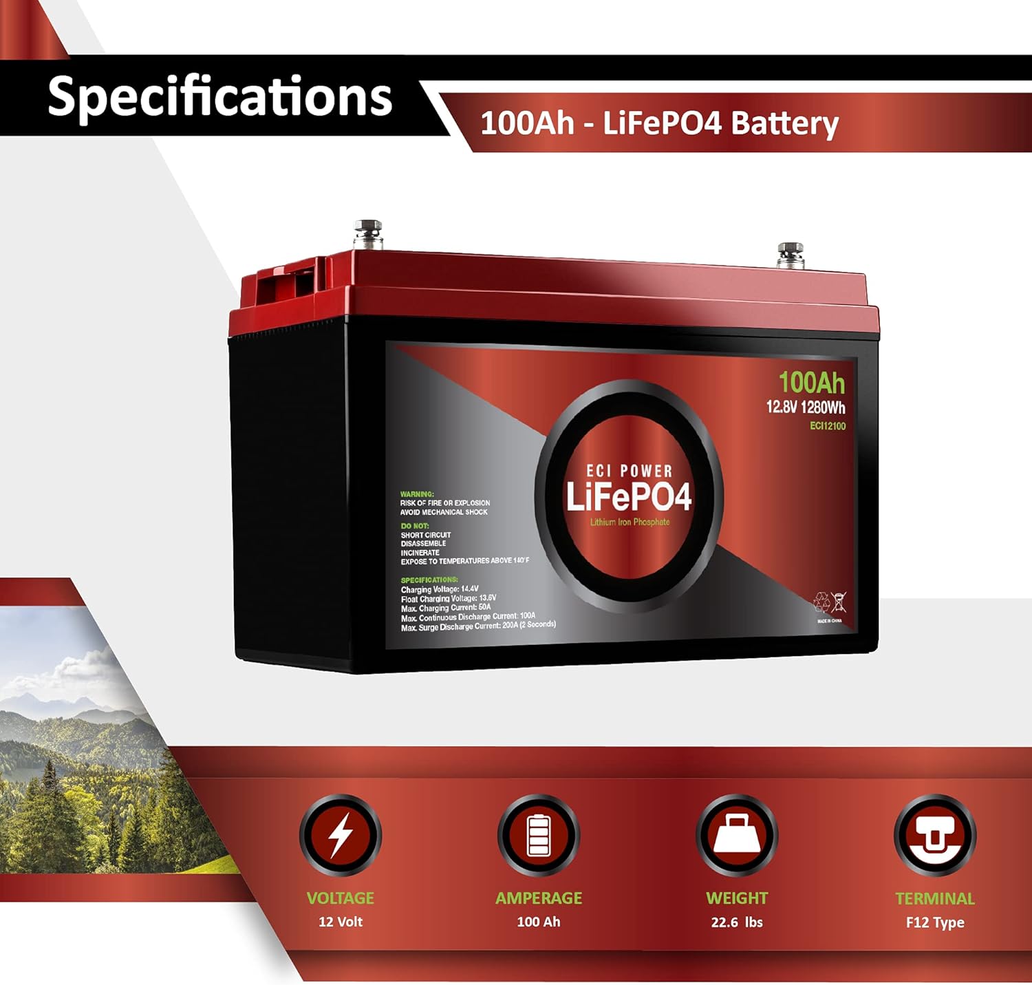 2 Pack 12V 100Ah Lithium LiFePO4 Deep Cycle Rechargeable Battery with Built-in BMS S830