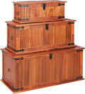 Storage Chest with Safety Hinge Wooden Storage Trunk with Metal Latch N389