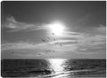 32x24 Canvas Art P582431