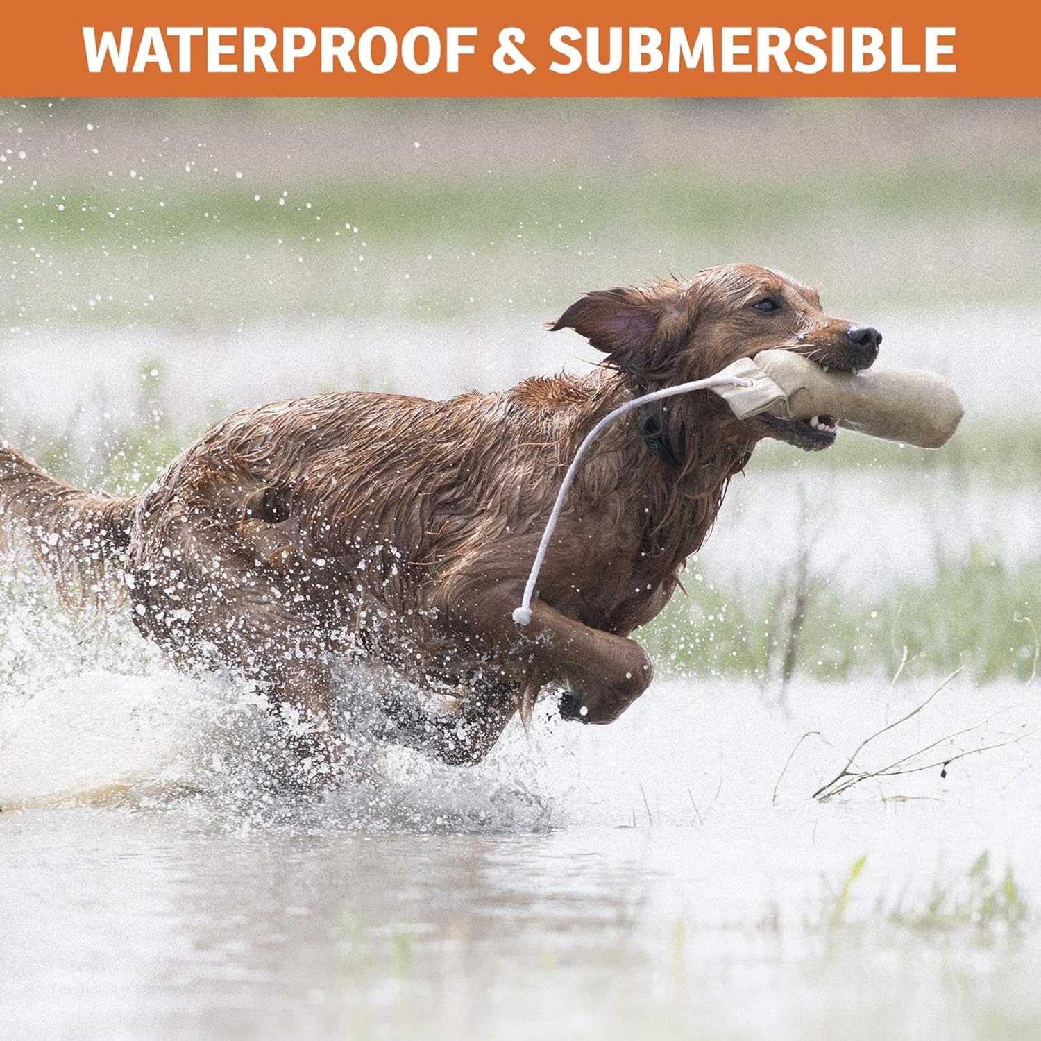 Rechargeable Waterproof Bark Control Collar U9979