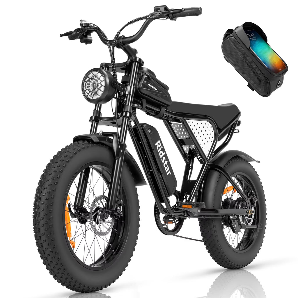 20" Fat Tire 750W Electric Bike with Removable 48V/20Ah Battery K563
