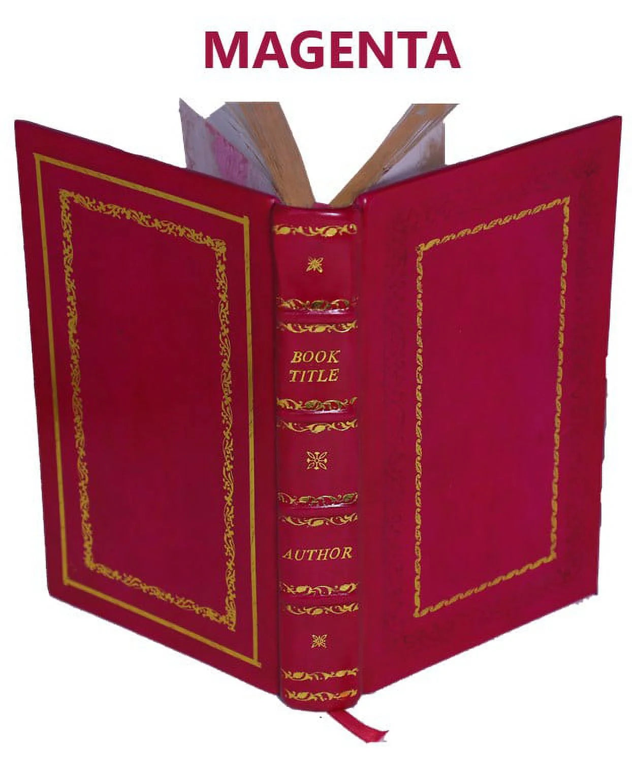 The Æneids of Virgil 1876 Premium Leather Bound Y873