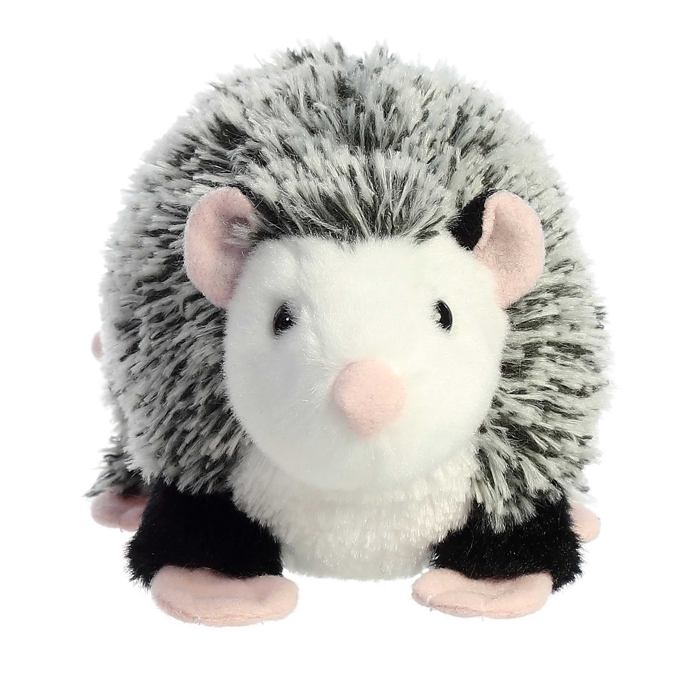 Small Black Stuffed Animal C9465
