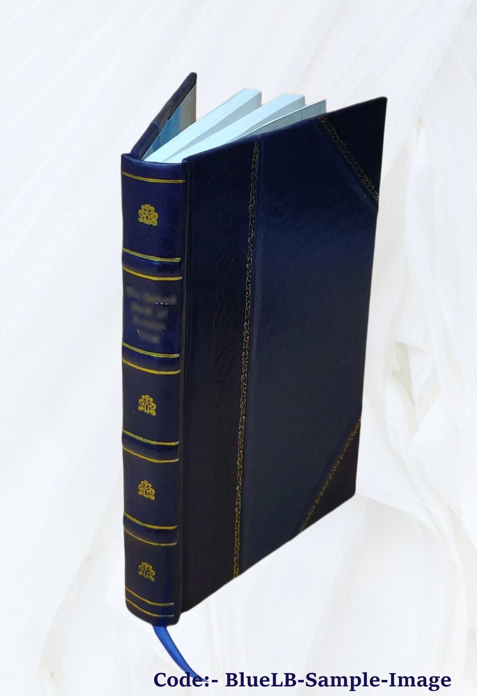 Leather Bound Book C65864