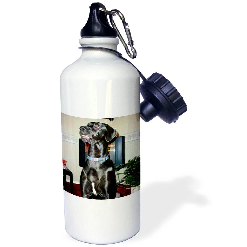 Black Great Dane Sports Water Bottle 21oz E23616
