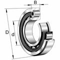 Cylindrical Roller Bearings B179