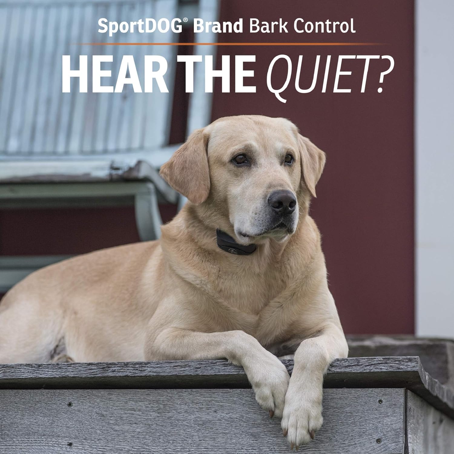 Rechargeable Waterproof Bark Control Collar U9979