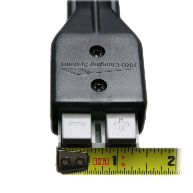 Dual Pro Eagle Charger S18506