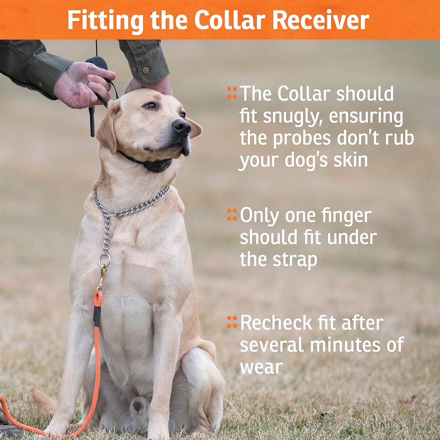 Rechargeable Waterproof Bark Control Collar U9979