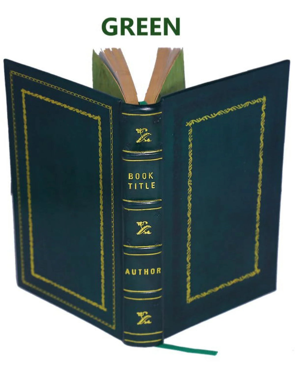The Æneids of Virgil 1876 Premium Leather Bound Y873
