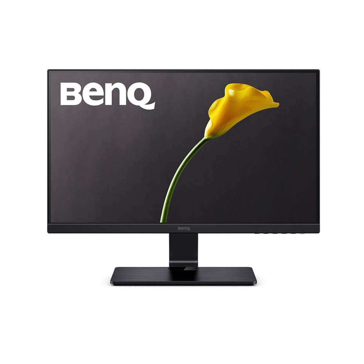 23.8 inch LED Monitor Q6233