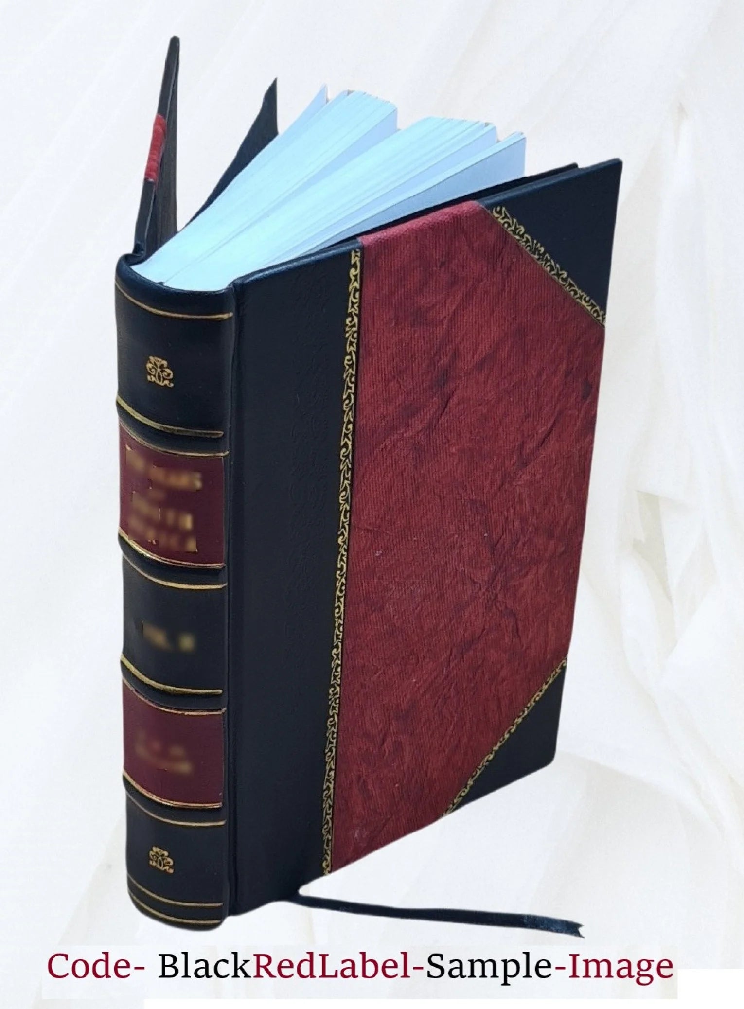Leather Bound Book C65864